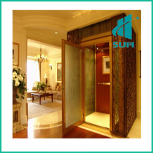 Luxury Home Elevator with Competitive Price